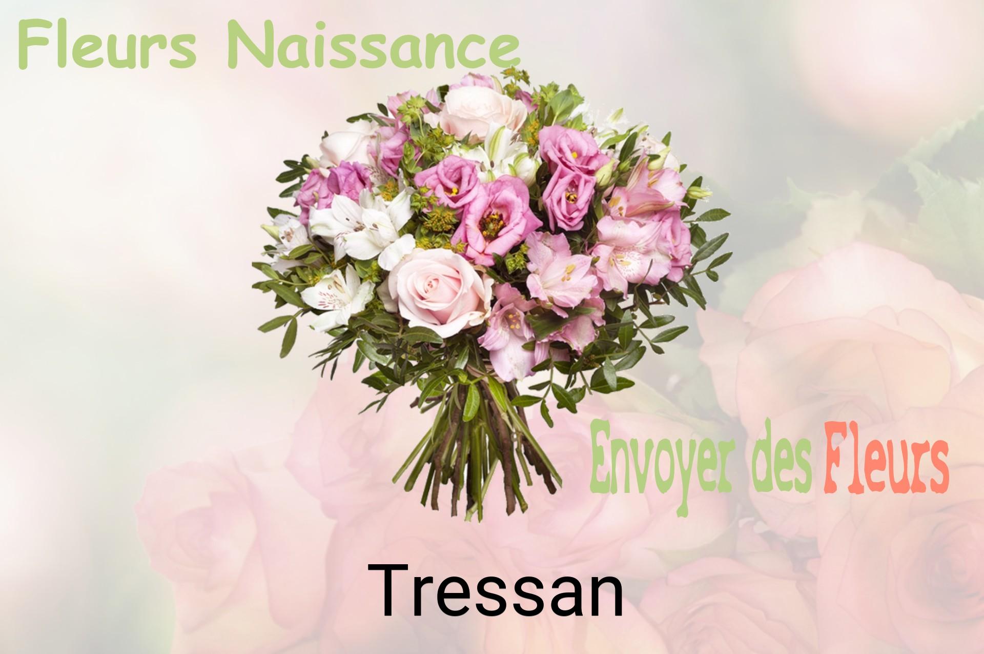 Bouquet de fleurs de naissance livré à Tressan