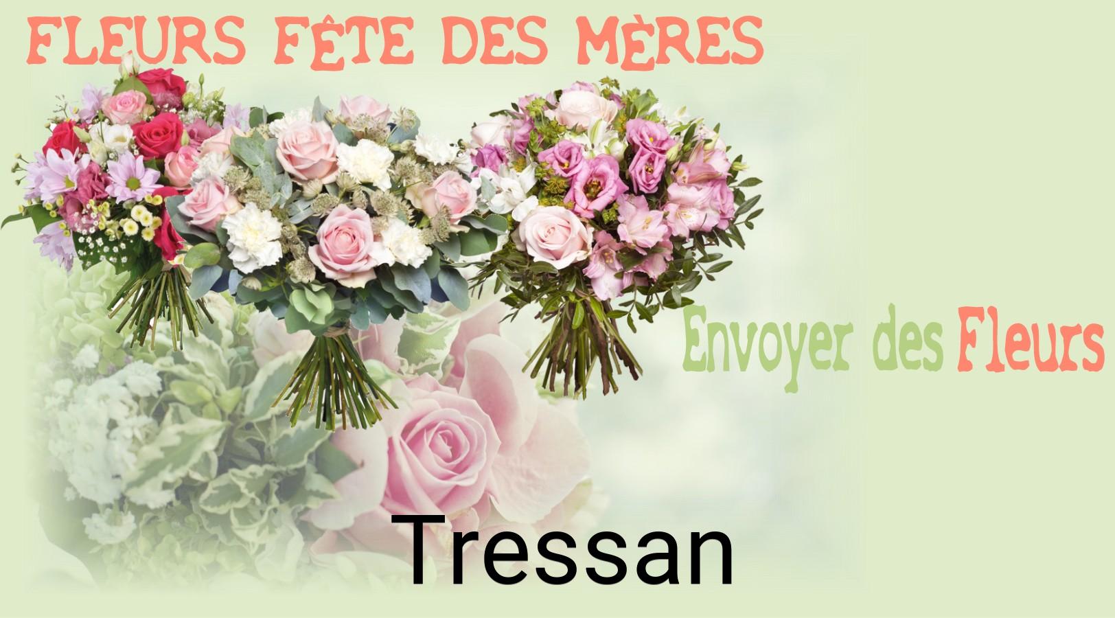 Bouquet de Fête des Mères livré à Tressan